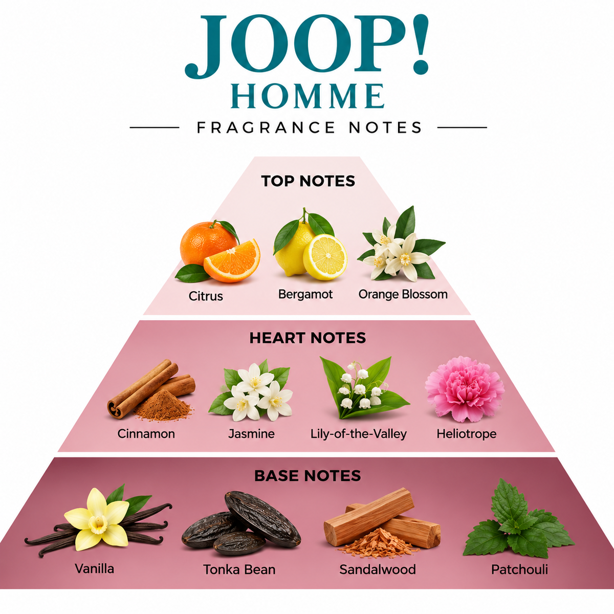 JOOP! Homme Eau de Toilette 6.7 oz / 200 mL for Men