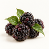 Dewberries Accord