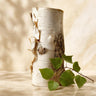 Birch