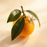 Bitter Orange