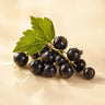 Black Currant