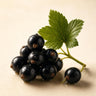 Blackcurrant