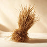 Bourbon Vetiver