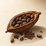 Cocoa
