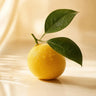 Citruses