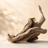 Driftwood