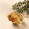 Fir Balsam Absolute