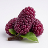 Mulberry