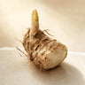 Orris Root