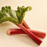 Rhubarb