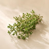 Thyme