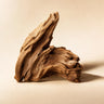 Woodsy Notes