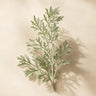 Wormwood
