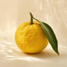 Yuzu